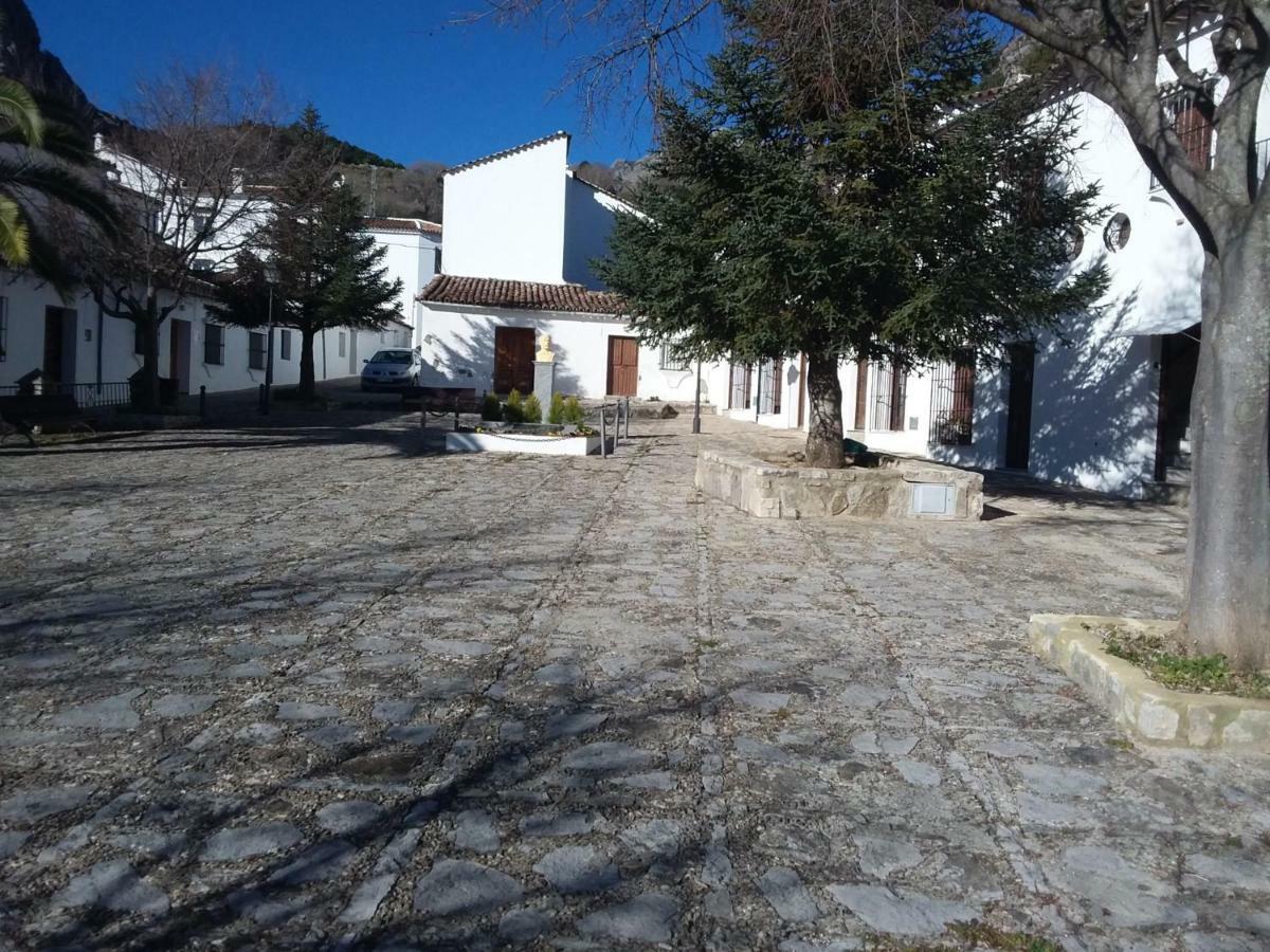 Alojamiento rural Tassone Grazalema Esterno foto