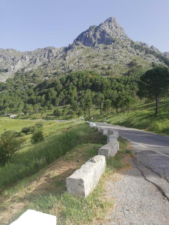 Alojamiento rural Tassone Grazalema Esterno foto